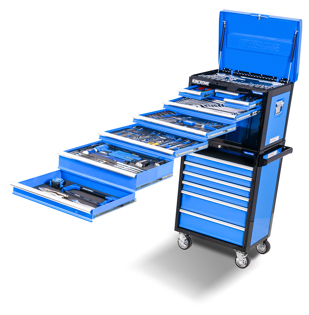 Evolution Workshop K1227