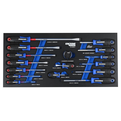 BLUESTEEL® 16 Piece TorqueMaster® Screwdrivers EVA Tray