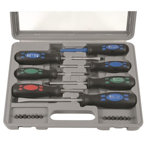 Screwdriver & Bit Set 21 Piece 